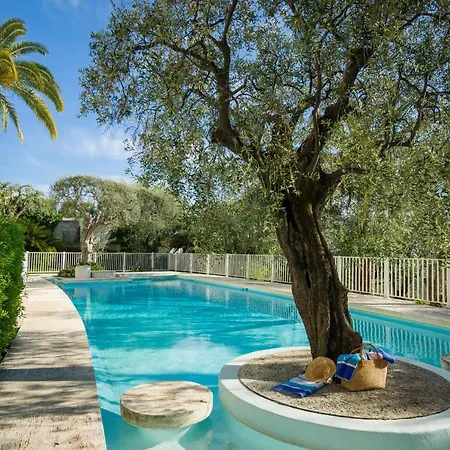 Les Oliviers Ueber Den Daechern Von Ruhig Sonnig Meerblick Pool Tiefgarage Parkplatz * Nizza